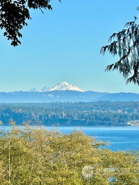 view of mountain feature featuring a water view