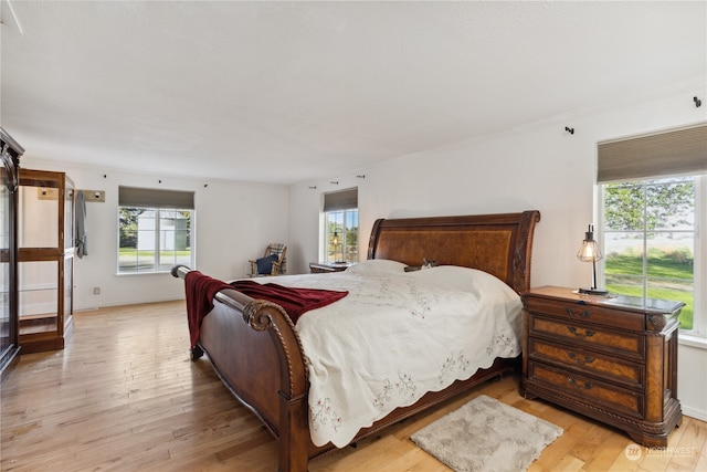 bedroom featuring wood-type flooring and multiple windows