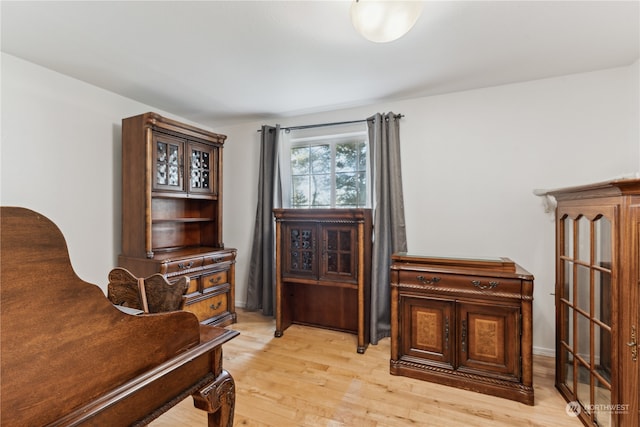 living area with light hardwood / wood-style flooring