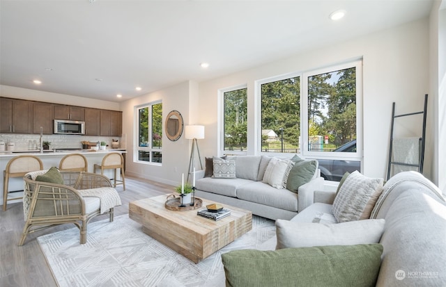 living room with light hardwood / wood-style flooring