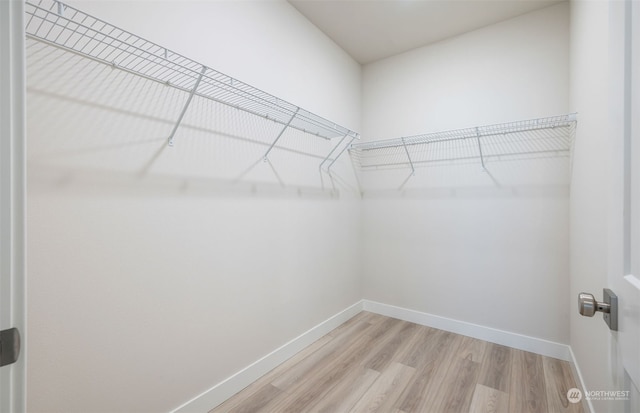 walk in closet featuring light wood-type flooring