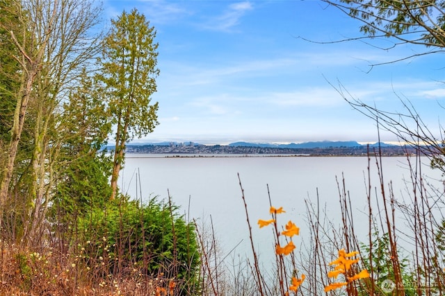 5528 Pine Siskin Rd, Blaine, WA 98230