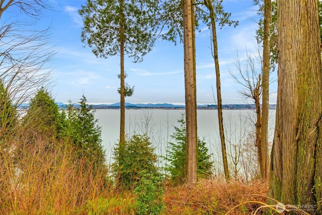 5528 Pine Siskin Rd, Blaine, WA 98230