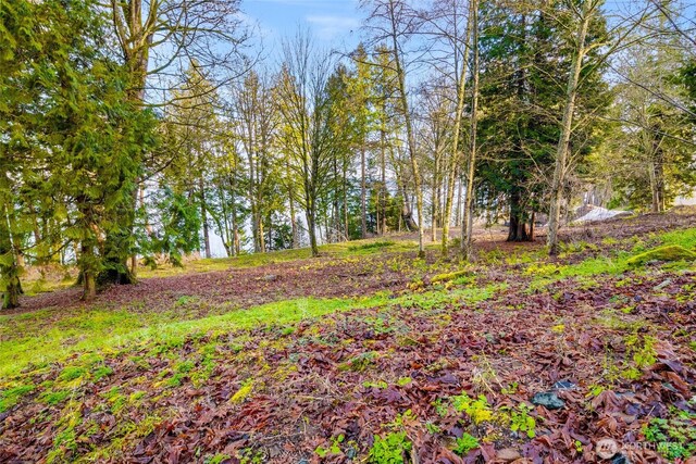 5528 Pine Siskin Rd, Blaine, WA 98230
