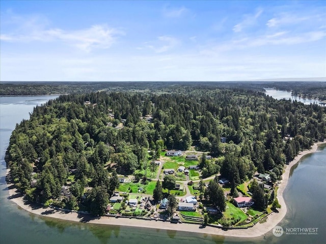 190 E Shorecrest Dr, Shelton, WA 98584 - photo 37