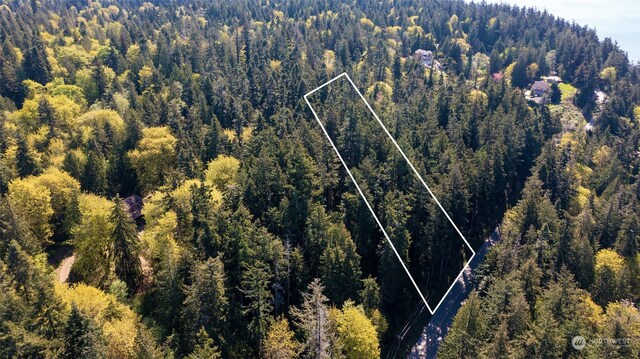 0 S Camano Dr, Camano Island, WA 98282