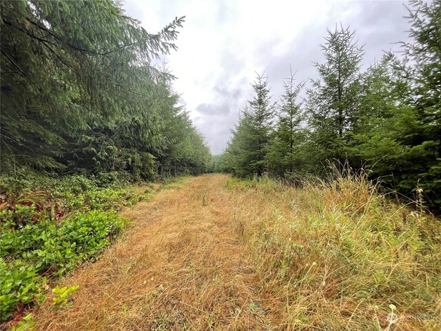 34XX Graf Rd, Centralia, WA 98531
