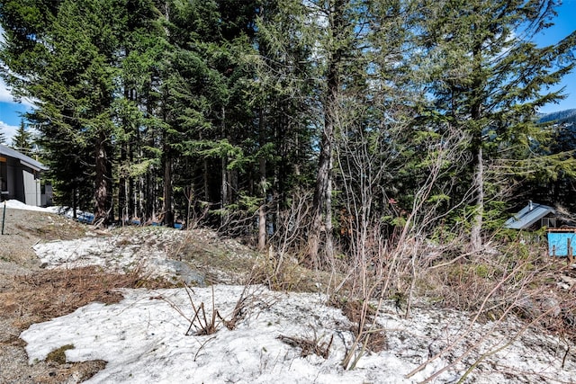 1XX Arlberg Pl, Snoqualmie Pass, WA 98068 - photo 5