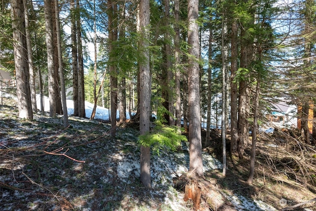 1XX Arlberg Pl, Snoqualmie Pass, WA 98068 - photo 10