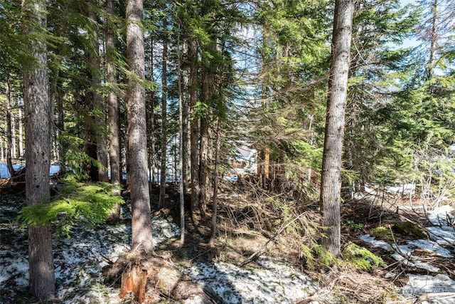 1XX Arlberg Pl, Snoqualmie Pass, WA 98068 - photo 11