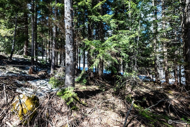 1XX Arlberg Pl, Snoqualmie Pass, WA 98068 - photo 13