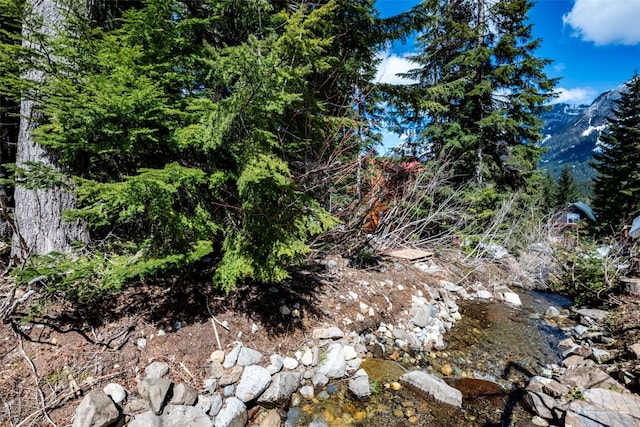 1XX Arlberg Pl, Snoqualmie Pass, WA 98068 - photo 14