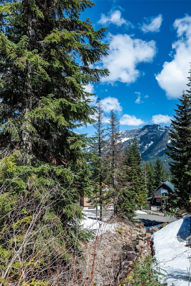 1XX Arlberg Pl, Snoqualmie Pass, WA 98068 - photo 15