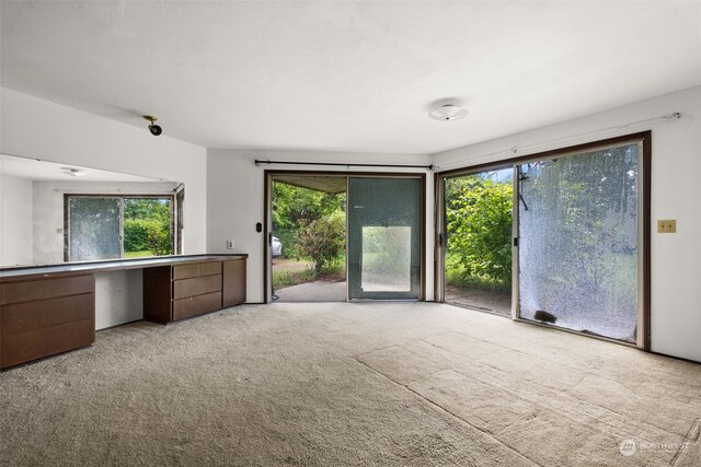 unfurnished living room featuring light carpet and a healthy amount of sunlight