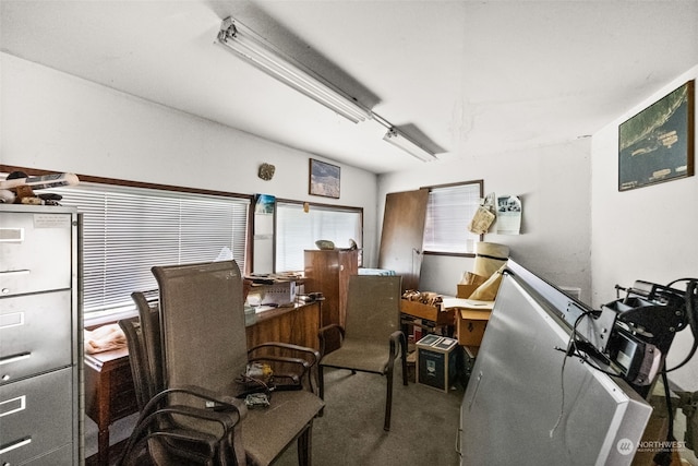 office featuring plenty of natural light and carpet floors