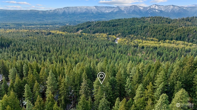 aerial view with a mountain view