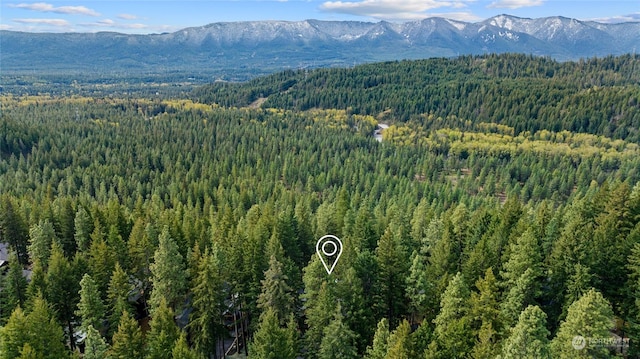 1450 Pinegrass Loop, Cle Elum, WA 98922 - view of mountain backdrop featuring a heavily wooded area