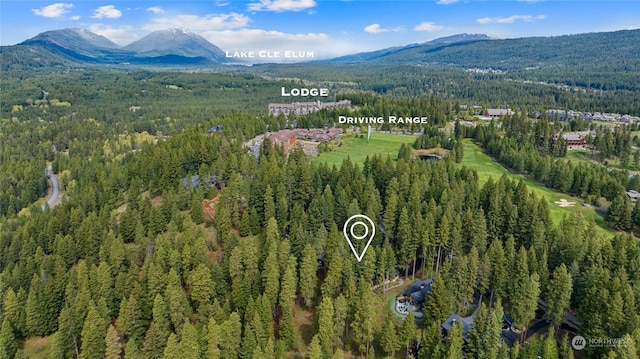 1450 Pinegrass Loop, Cle Elum, WA 98922 - drone / aerial view of a forest and a mountainous background