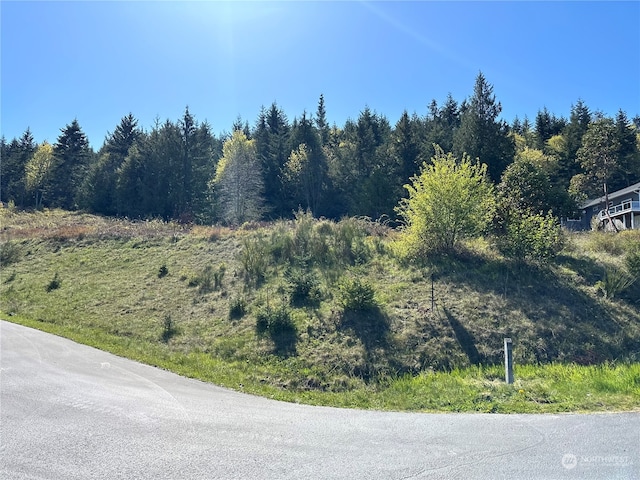 Listing photo 3 for 16LOT Elk Pass, Sequim WA 98382