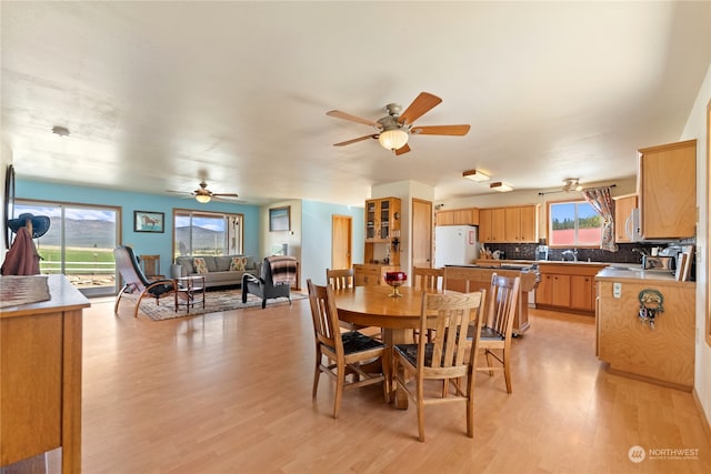 dining area with light hardwood / wood-style floors, ceiling fan, and a wealth of natural light