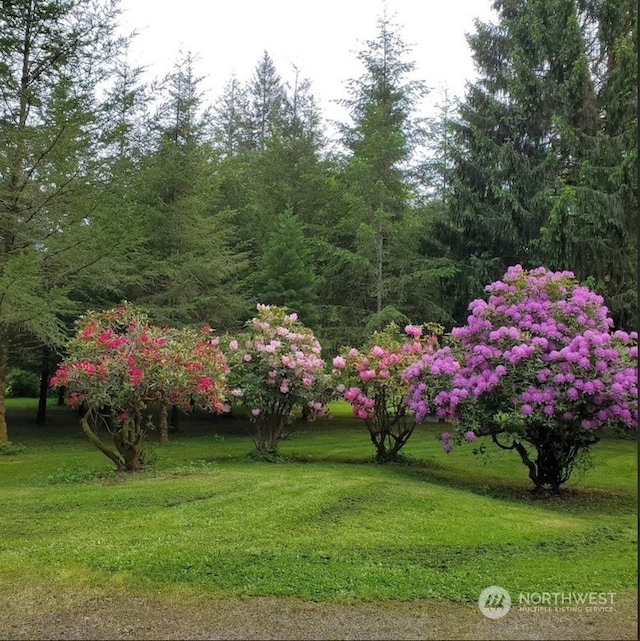 surrounding community featuring a lawn