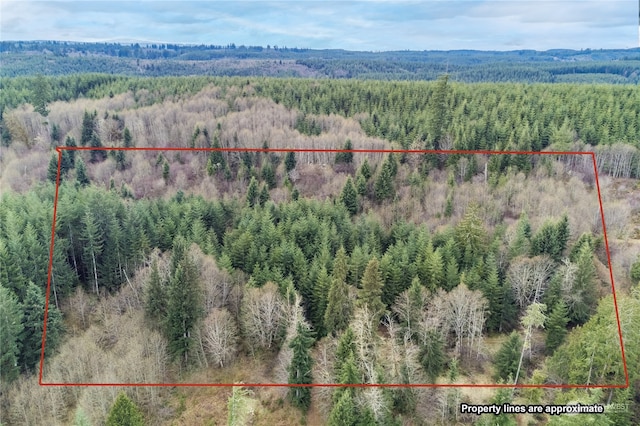 0 Germany Creek Rd, Longview WA, 98632 land for sale