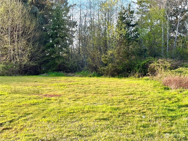 520 W Newell St, Westport WA, 98595 land for sale