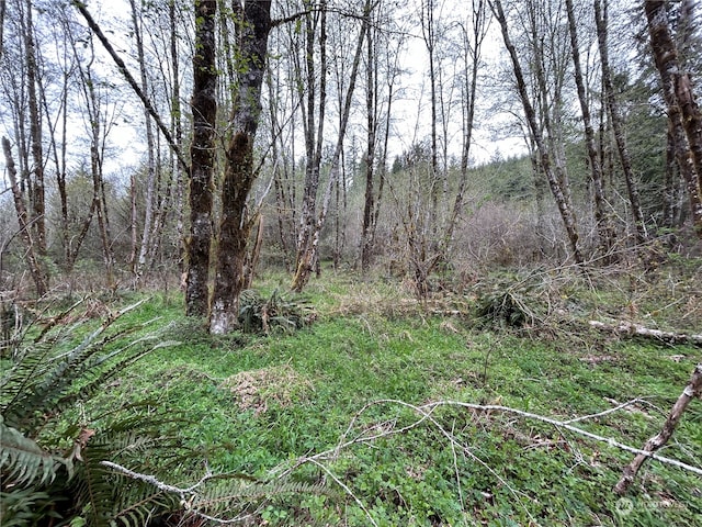 Listing photo 2 for 0LOT3 Abernathy Creek Rd, Longview WA 98632