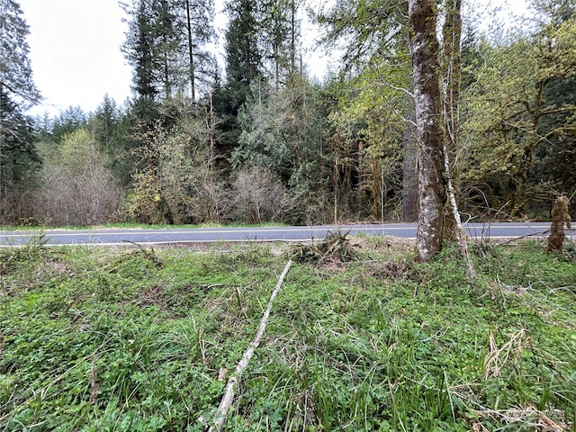 Listing photo 3 for 0LOT3 Abernathy Creek Rd, Longview WA 98632