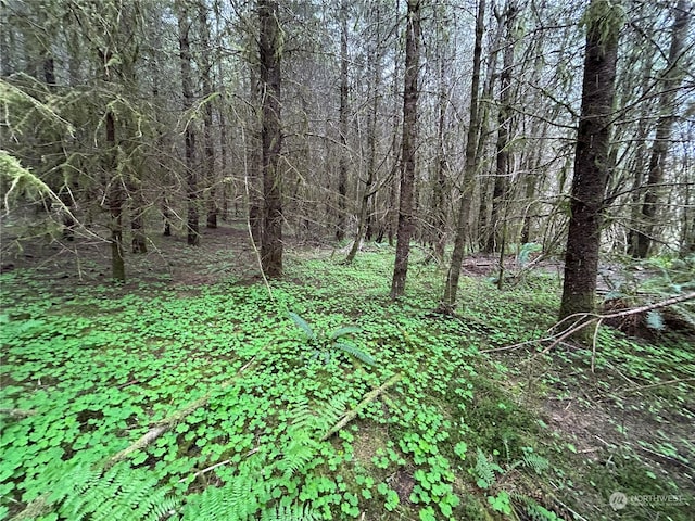 Listing photo 2 for 0LOT4 Abernathy Creek Rd, Longview WA 98632