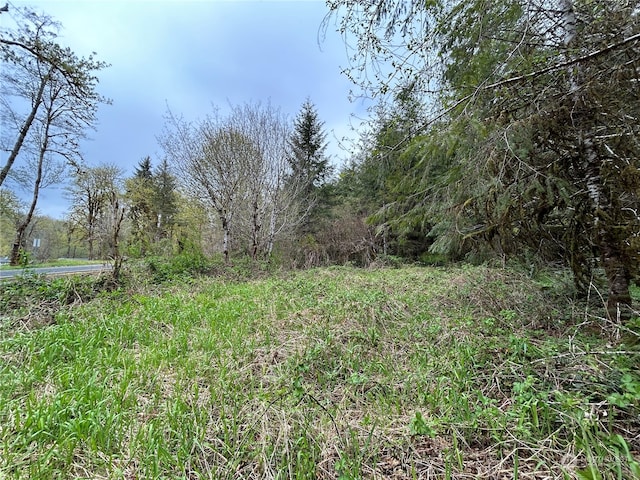 Listing photo 3 for 0LOT4 Abernathy Creek Rd, Longview WA 98632