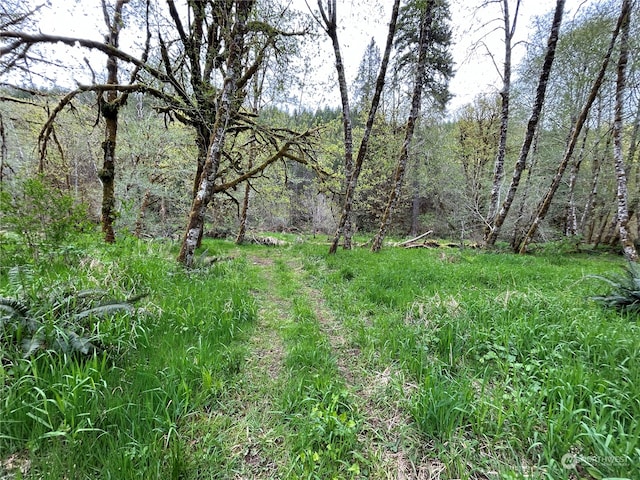 Listing photo 3 for 0LOT1 Abernathy Creek Rd, Longview WA 98632