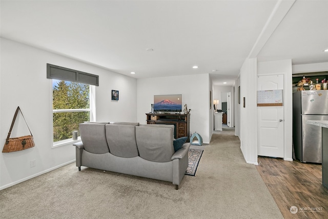 living room featuring hardwood / wood-style floors