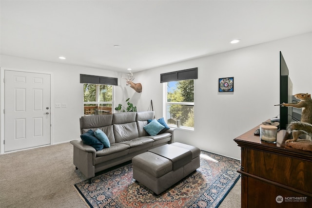 carpeted living room with plenty of natural light