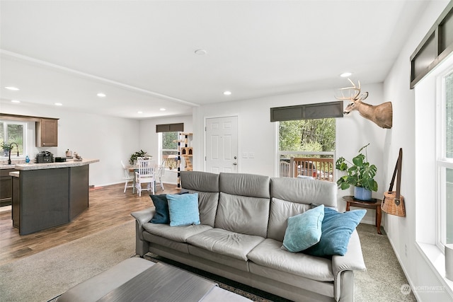 living room with sink, a wealth of natural light, and dark wood-type flooring