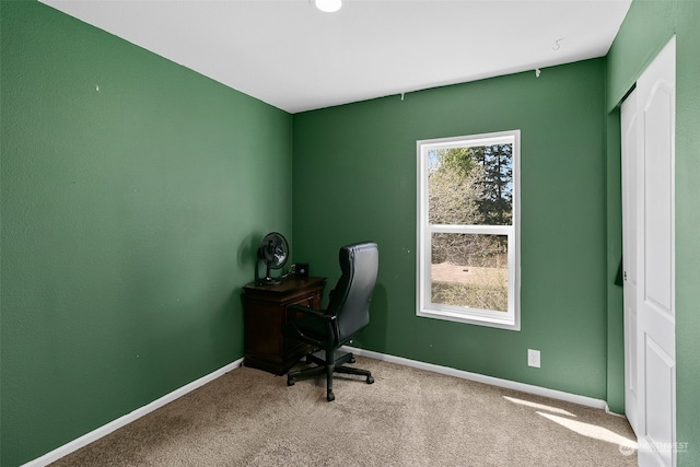 unfurnished office featuring carpet