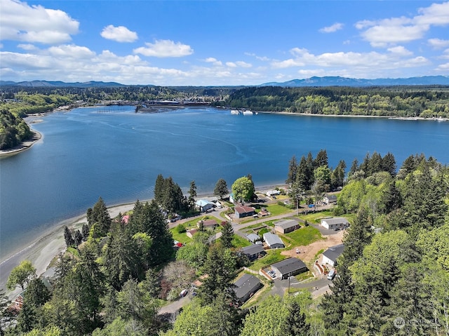 birds eye view of property featuring a water and mountain view