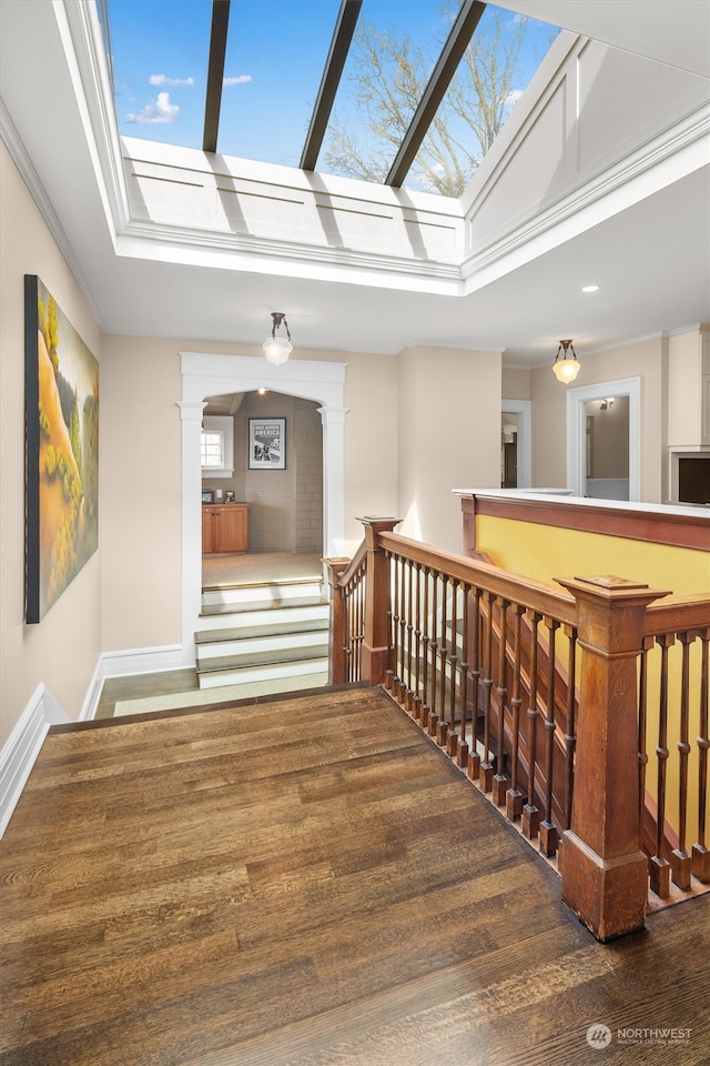 hallway with a skylight, crown molding, and dark hardwood / wood-style flooring