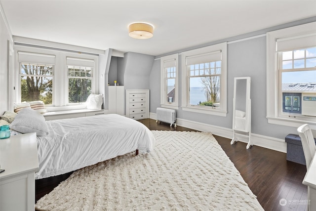 bedroom with radiator heating unit, dark hardwood / wood-style flooring, and multiple windows