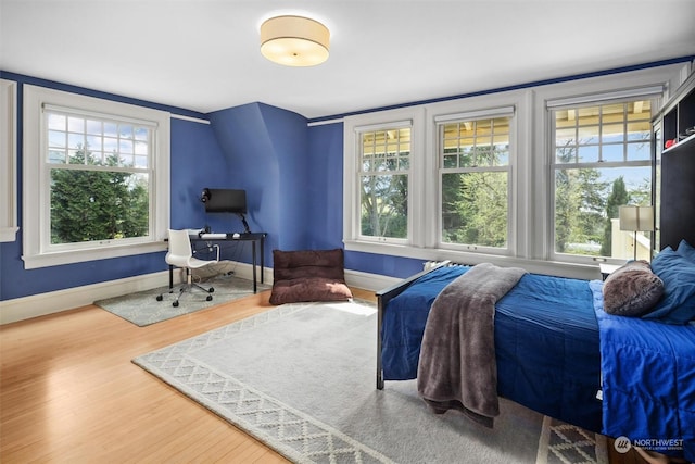 bedroom featuring baseboards, multiple windows, and wood finished floors