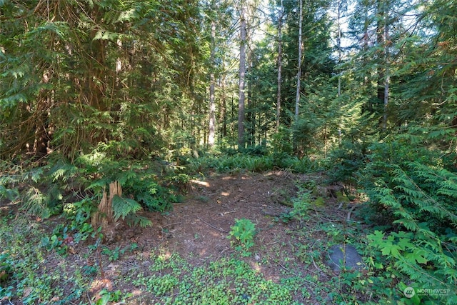 view of nature featuring a forest view