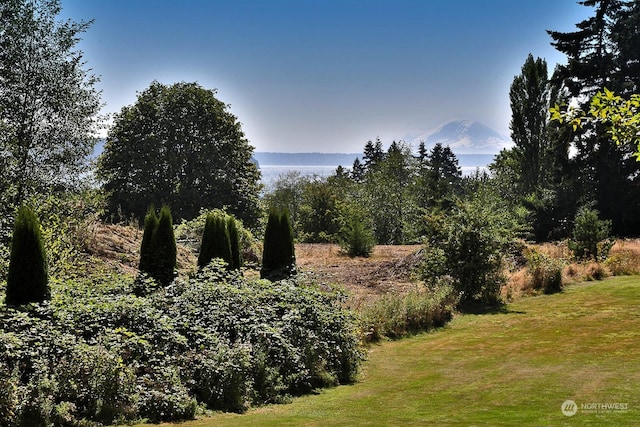 view of landscape