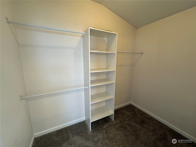 walk in closet with vaulted ceiling and carpet flooring