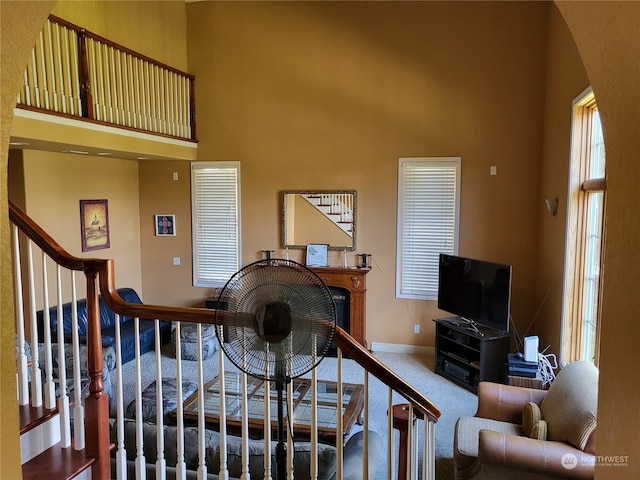 living room featuring carpet floors