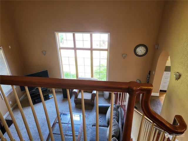 staircase with a healthy amount of sunlight, a high ceiling, and carpet flooring