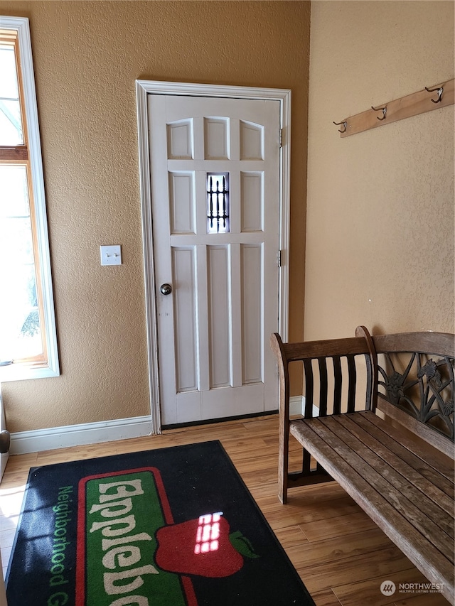 entrance foyer with light hardwood / wood-style flooring