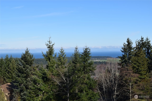 9 Fox Hollow Rd, Sequim WA, 98382 land for sale