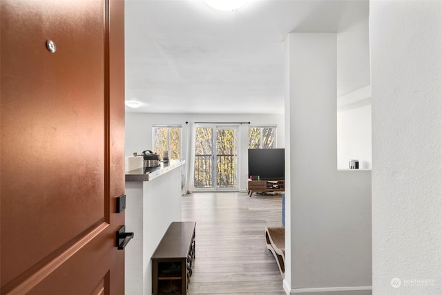 hall with light hardwood / wood-style flooring