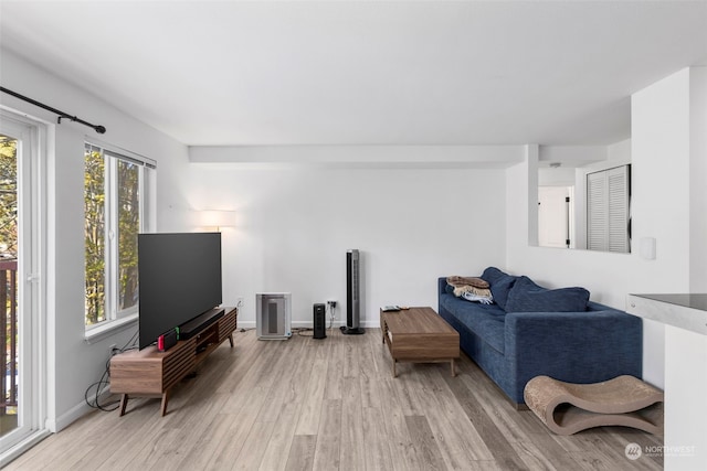 living room with a healthy amount of sunlight and hardwood / wood-style flooring