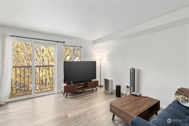 living room with light wood-type flooring